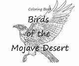 Mojave Coloring Birds Book Result End Pages sketch template
