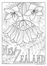 Colouring Flower Zealand National Pages Samoa Kids sketch template