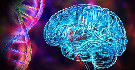 scientists discover  mechanism   rare brain disease