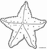 Starfish Coloring Pages Ocean Animals Kids Fish Star Cool2bkids Designlooter Print sketch template