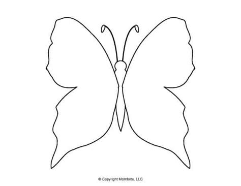 printable butterfly images outline