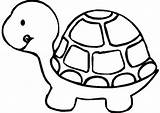 Coloring Pages Turtle Animal Preschool Choose Board Printable sketch template