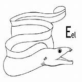 Eel Coloring Pages Color Outline Electric Colorluna sketch template