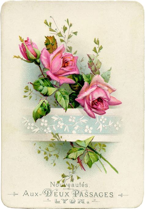 vintage french roses image  graphics fairy
