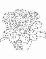 Chrysanthemum Coloring Pages Basket Henkes Kevin Print Color Getcolorings Printable Template sketch template