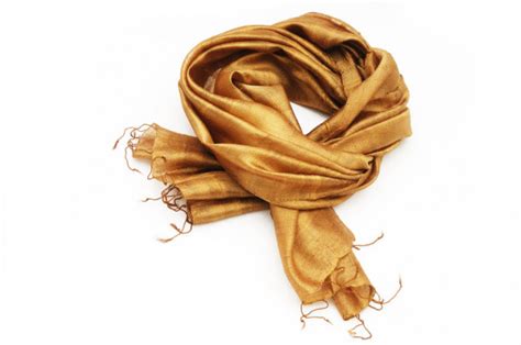 golden scarf stock photo  miltonia