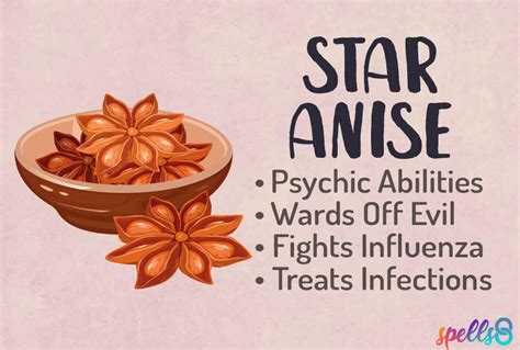 star anise magical properties ward   evil eye spells