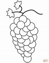 Grapes Coloring Pages Grape Fruit Printable Kids Fruits Drawing Crafts Colouring Color Medium sketch template