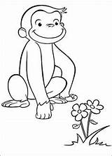 George Curious Coloring Pages Printable Characters sketch template