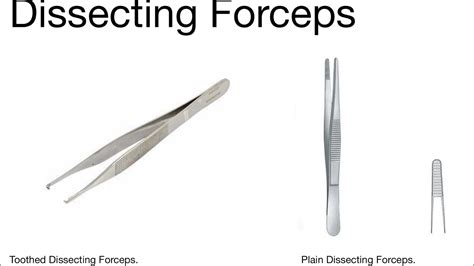 knowledge bytes uploaded dissecting forceps types