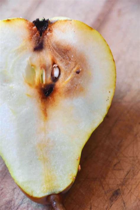 growing pears