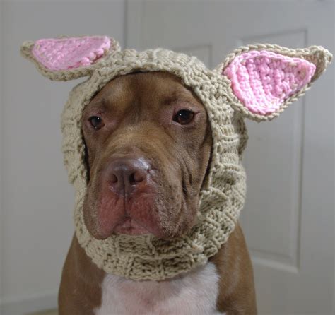 dog ear warmer crochet tan rabbit   order  courtanai