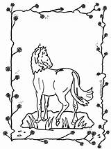 Paard Cavalos Pferd Ausmalbilder Fargelegg Caballo Cheval Nukleuren Hester Pferde Coloriage Jetztmalen Kleurplaten Paarden Advertentie Caballos Chevaux Publicidade Publicidad sketch template