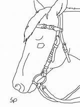 Horse Bridle Drawing Lineart Getdrawings sketch template
