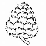 Pine Cone Clipart Drawing Pinecone Coloring Line Printable Longleaf Worksheets Easy Cliparts Color 74kb Getcolorings Pages Designlooter Transparent Drawings Getdrawings sketch template