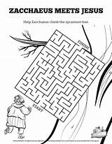 Zacchaeus Bible Activities Story Craft Jesus Luke Kids Printable 19 School Sunday Maze Mazes Tax Lesson Crafts Find Lessons Way sketch template