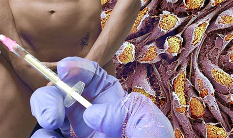new stem cell viagra treatment gives men bigger penis science news uk
