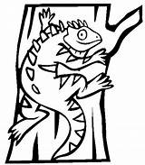 Iguana Coloring Pages Printable Clipart Animals Color Coloing Library Books Categories Similar sketch template