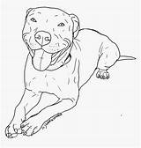 Pitbull Clipart Coloring Pages Transparent Kindpng sketch template