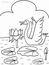 Pond Dxf Duck sketch template