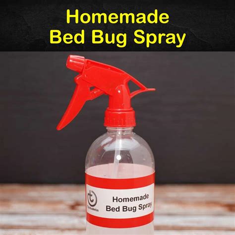 rid  bed bugs  homemade bed bug spray tips