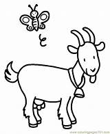 Goat Coloring Pages Printable Color Animals Colorear Para Kids Goats Online Sheet Animales Animal sketch template