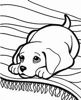 Puppy Cute Coloring Pages Puppies Print Getcoloringpages Baby sketch template