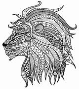 Coloring Pages Lion Adults Printable Print sketch template