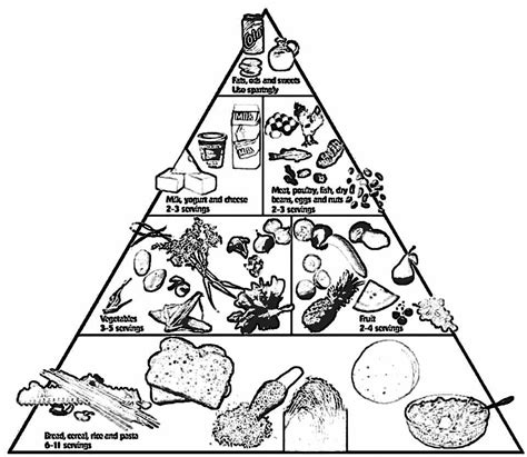 food pyramid coloring images