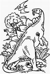 Dinossauros Colorear Dinosaurier Dinosaurios Jurassic Colorare Disegni Dinossauro Ausmalbild Jurassique Dinosaur Ausmalen Dinosaurs Ausdrucken Parc Pteranodon Malvorlagen Pteranodonte Preistoria Stegosauro sketch template