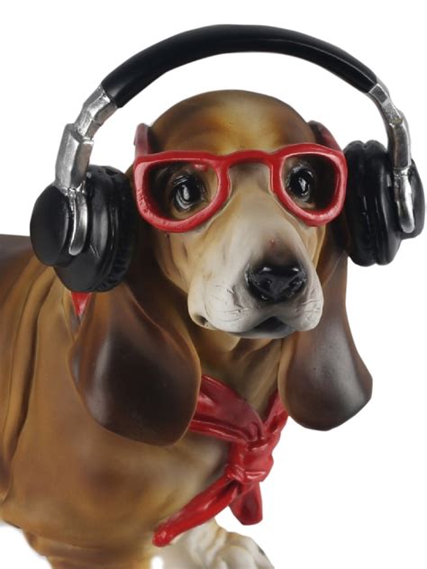 dachshund dog  headphones cm