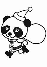 Panda Coloring Christmas Costume Pages Printable sketch template