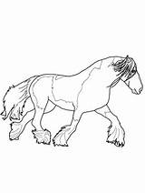 Coloring Horse Pages Shire Printable Gypsy Click Vanner Version Getcolorings Getdrawings sketch template