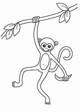 Macaco Colorir Singe Animals Printable Coloriages Colorier sketch template