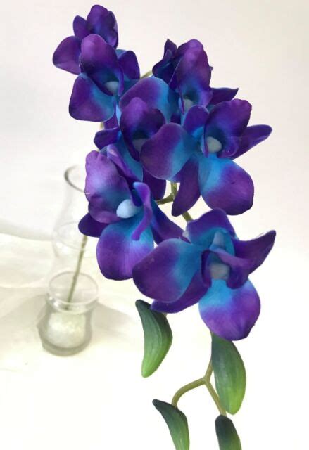 12 latex real touch singapore blue purple orchid dendrobium orchids