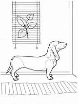 Dog Dachshund sketch template