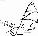 Coloring Bat Other Pages Wecoloringpage sketch template