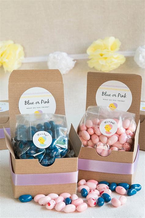 Gender Reveal Treat Boxes Party Inspiration