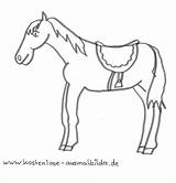 Pferde Pferd Sattel Ausmalbilder Ausmalbild Tiere Malvorlage Lesezeichen Mandala Pinnwand Freude sketch template