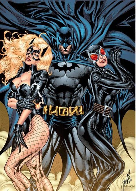 batman black canary and catwoman by al rio this looks more like an