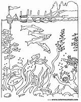 Coloring Diver Deep Sea Pages Scuba Drawing Color Getcolorings Getdrawings Printable Activity sketch template