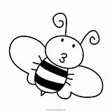 Colorare Ape Abelha Abeja Hitam Lebah Bumblebee sketch template