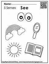 Senses Preschool Sight Freepreschoolcoloringpages Writing Fujifilm Instax Montessori sketch template