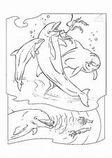 Dolfijn Kleurplaat Kleurplaten sketch template