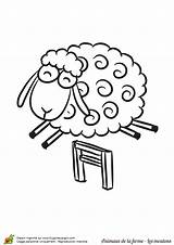 Dodo Mouton Ferme Hugolescargot Rigolo Partager sketch template