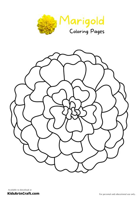 marigold coloring pages  kids  printables kids art craft