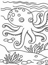 Octopus Coloring Pages Kids Printable Animal Jumbo Preschool Print Clipart Sheets Easy Coral Cartoon Color Animals Doc Ocean Ock Kindergarten sketch template