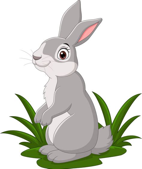 rabbit vector art icons  graphics