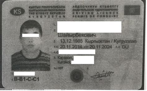 citizens of other countries use fake kyrgyz documents in