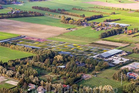 hollandluchtfoto nunspeet luchtfoto bloemkampen